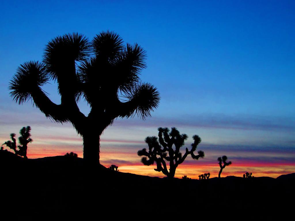 Raintree'S Cimarron Golf Resort Palm Springs カテドラル・シティ エクステリア 写真
