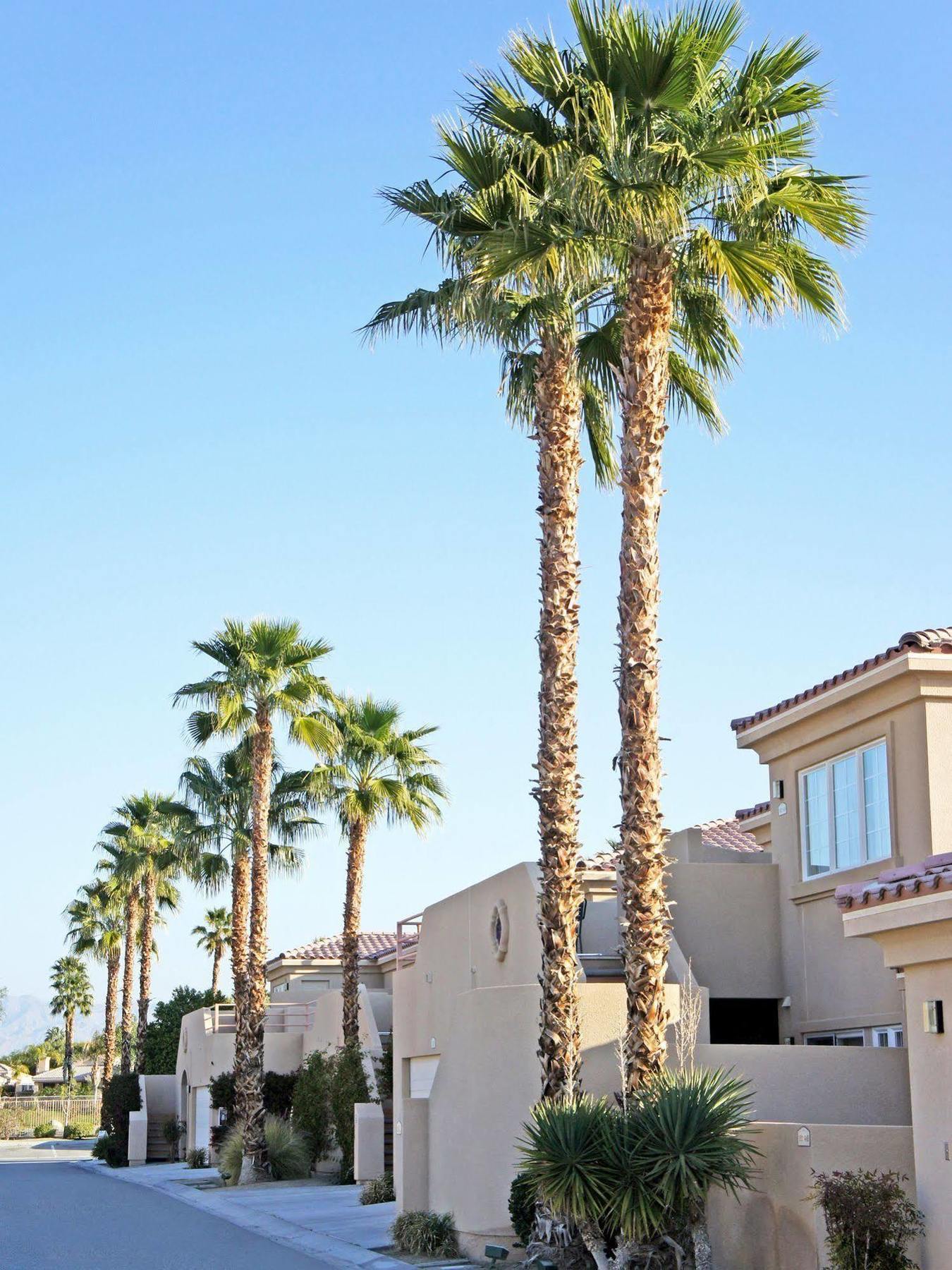 Raintree'S Cimarron Golf Resort Palm Springs カテドラル・シティ エクステリア 写真
